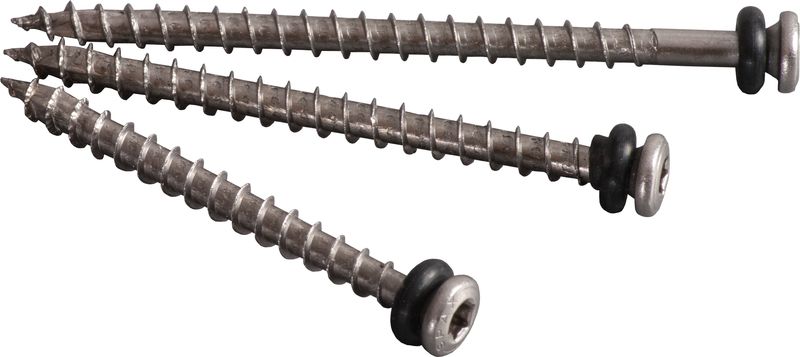 Vite in acciaio inox con tenuta lunghezza da 60